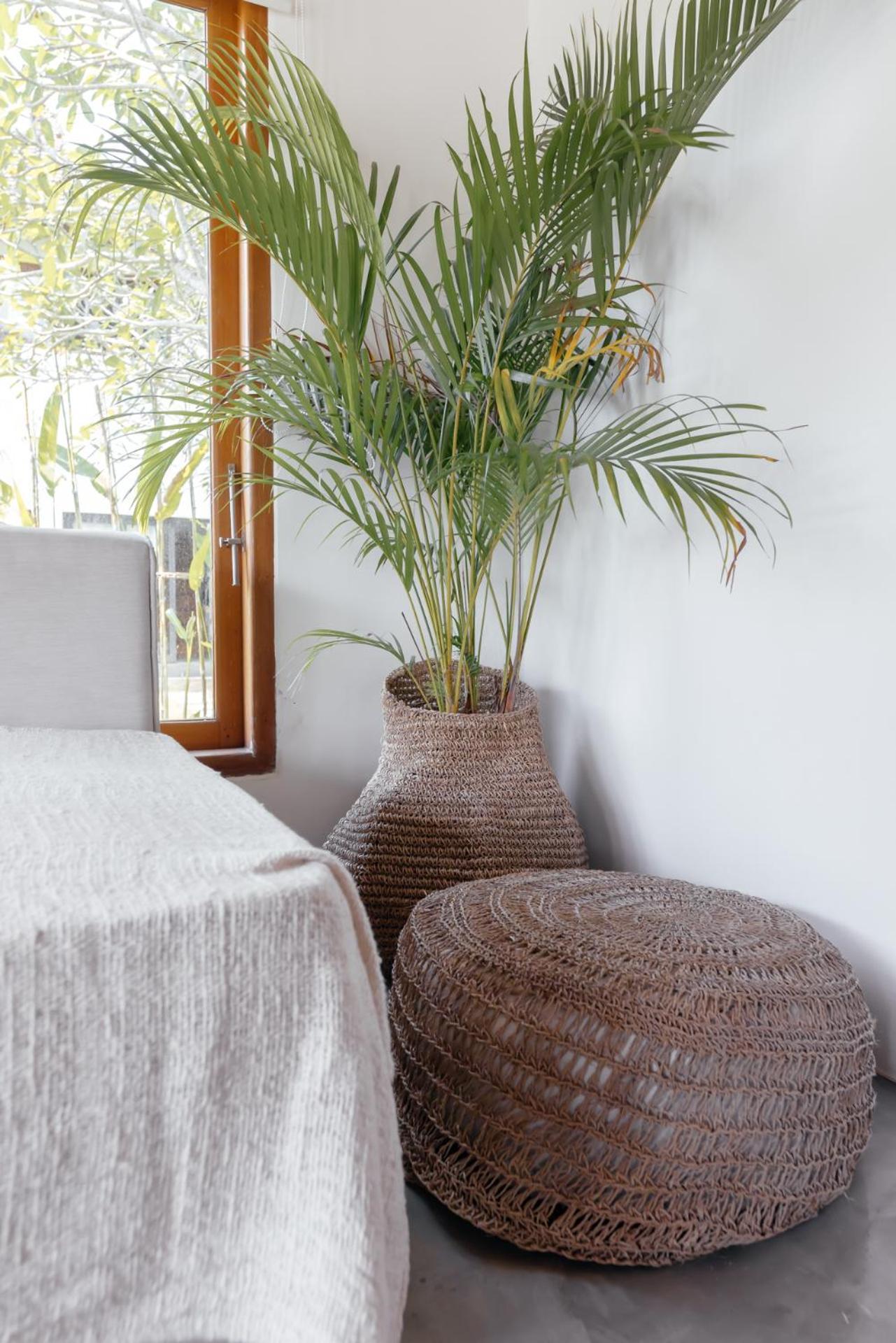 Hola Villas & Lofts Uluwatu 外观 照片